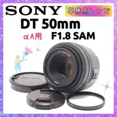 Item thumbnail for item 278e18b1-8b31-49c2-b2a2-c188fe2744a5