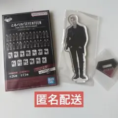 SEVENTEEN セブチ とるパカ！ アクリルスタンド THE8