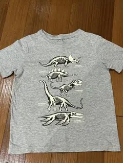 Lands' End 恐竜骨格Tシャツ Mサイズ　120