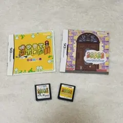 ちびロボ！おかえり！咲かせて！ 2本セット ニンテンドーDS