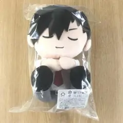 新品未開封 黒尾鉄朗 ハイキュー！！ おひざの上シリーズ お昼寝ver.