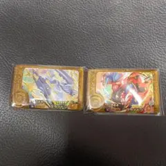 ポケモンフレンダ　コライドン　ミライドン　セット