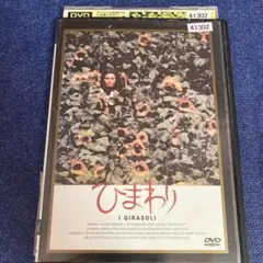 ひまわり　i girasoli DVD