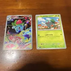 ポケモンカードゲーム フシギソウ AR、フシギダネ
