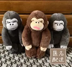 【AMUSE】ウホウホゴリラのゴリくん 正座 セット