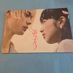 映画パンフレット　溺れるナイフ　小松菜奈　菅田将暉　上白石萌音　美品