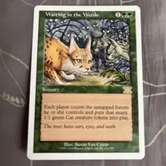 MTG 草陰の待ち伏せ