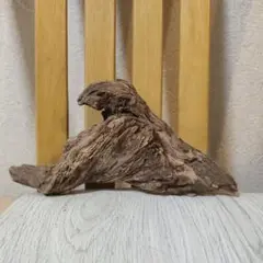 自然の 流木