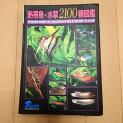 2025年最新】熱帯魚 水草3 種図鑑の人気アイテム - メルカリ