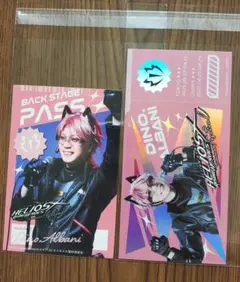 エリステ バクステパス チケット ディノ