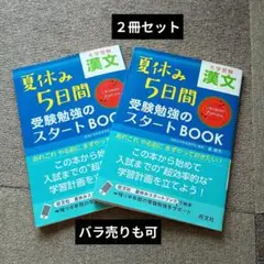 大学受験夏休み5日間受験勉強のスタートBOOK漢文