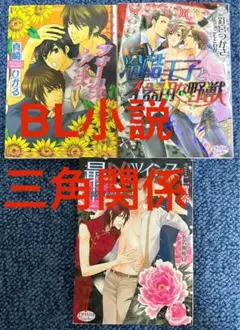 BL小説　三角関係