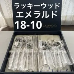 ラッキーウッド エメラルド 18-10ステンレス 12本 カトラリー スプーン