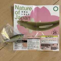 Item thumbnail for item fc61bac6-d12b-44c2-afa8-96f1f95b543d