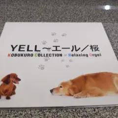 365.119 KOBUKURO YELL～エール／桜 CD