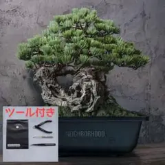 な*り様 ツールセット NEIGHBORHOOD SRL BANDAI BONS SRL X BANDAI SPIRITS . BONSAI MODEL KIT ／ TOOL SET