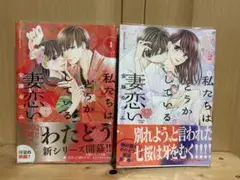 私たちはどうかしている　妻恋い1.2巻セット