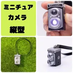 ミニチュア　カメラ　縦型　黒　ぬいぐるみ　ドール　フィギュア　ハンドメイド　推し
