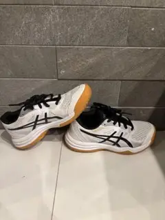 Item thumbnail for item 82338c3b-01d8-4b97-bed2-c19bbd3101f6