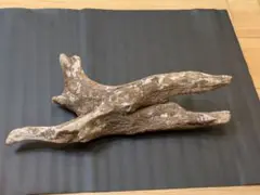 Item thumbnail for item 4a26bd55-48d7-4a14-b8e3-df455468c4a2