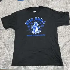 adidas スケートボーディング Tシャツ Mサイズ ペンギン