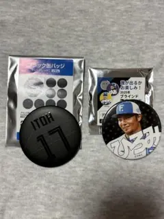 ファイターズ　伊藤大海　缶バッジ2個セット