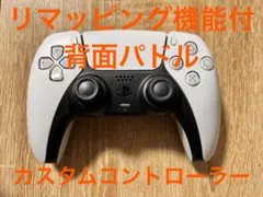 値下げ相談可 PS5 DualSenseカスタムコントローラー