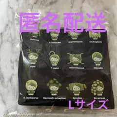 日本館　ハローキティ　トートバッグ　L サイズ　関西万博限定　匿名配送　藻キティ