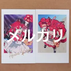 Crazy Raccoon CRフェス チェキ風カードセット 赤見かるび