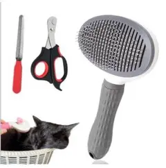 Item thumbnail for item 15ae366f-9e22-4c9c-bd13-36267a007bf5