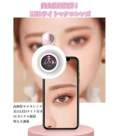 Item thumbnail for item c778f66a-4ae9-41d7-a393-221f427ceb9a
