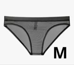 Item thumbnail for item 21e338b4-4784-43de-93ac-89c9d503571f