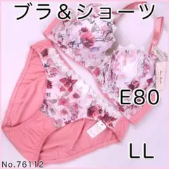 ブラジャーショーツセットE80 No.76112
