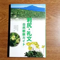 【おまけつき】杣田 美野里　書籍　3冊セット 2025年最新】杣田美野里の人気アイテム - メルカリ