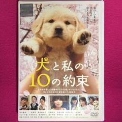 犬と私の10の約束 DVD☆新品ケースに交換・ディスクの除菌・研磨済み