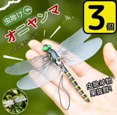 オニヤンマ科 標本 Ar 2025年最新】トンボ 標本の人気アイテム - メルカリ