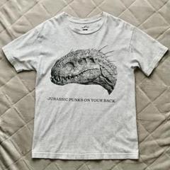upper field one UFO HYBRID REX
