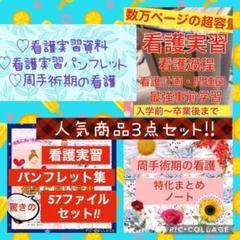 看護学生 看護実習 手順書 関連図 周手術期 急性期 レポート アセスメント 大切な人へのギフト探し 看護実習 急性期 周手術期 計画 関連図