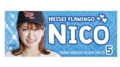 楽天イーグルス×平成フラミンゴ　NICO タオル
