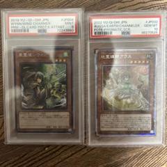 風霊使いウィンPSA9と地霊媒師アウスPSA10のセット
