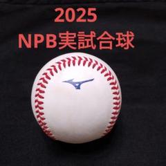 2025シーズン・NPB実試合・MIZUNO・正真正銘本物！