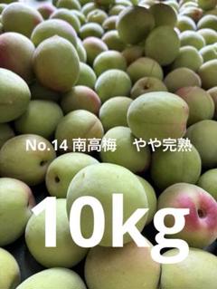 No.14 南高梅　やや完熟　10kg No.14 南高梅 やや完熟 10kg