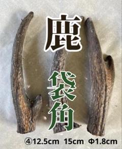 2025年最新】鹿茸 袋角の人気アイテム - メルカリ