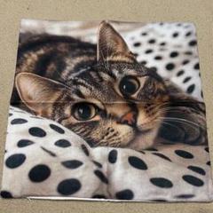 キジ猫柄　ネコ　クッションカバー　リアル　猫　キジトラ　45×45　インテリア