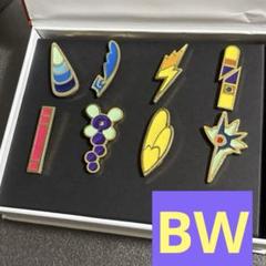 ポケモン公認 ポケットモンスター ジムバッジ9種 ジムリーダー