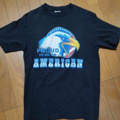 90sシングルステッチT ヴィンテージアメカジバイクウィークハーレーsoftee