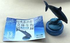 日本水族館立体生物図録 ジンベエザメ♀ ブックレットあり フィギュア 海洋堂 日本水族館立体生物図録 ジンベエザメ♀ ブックレットあり