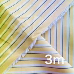 播州織　綿ポプリンストライプ　3m