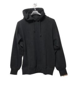 2025年最新】THE NORTH FACE PURPLE LABEL メンズ パーカーの