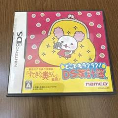 どこでもラクラク! DS家計簿